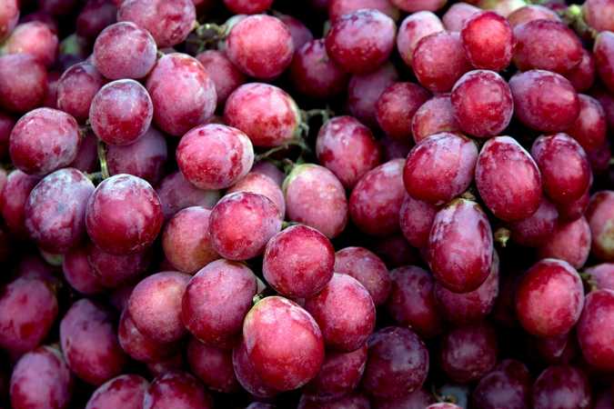 Organics, Port Health, Grapes